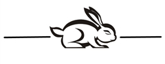 兔子.jpg