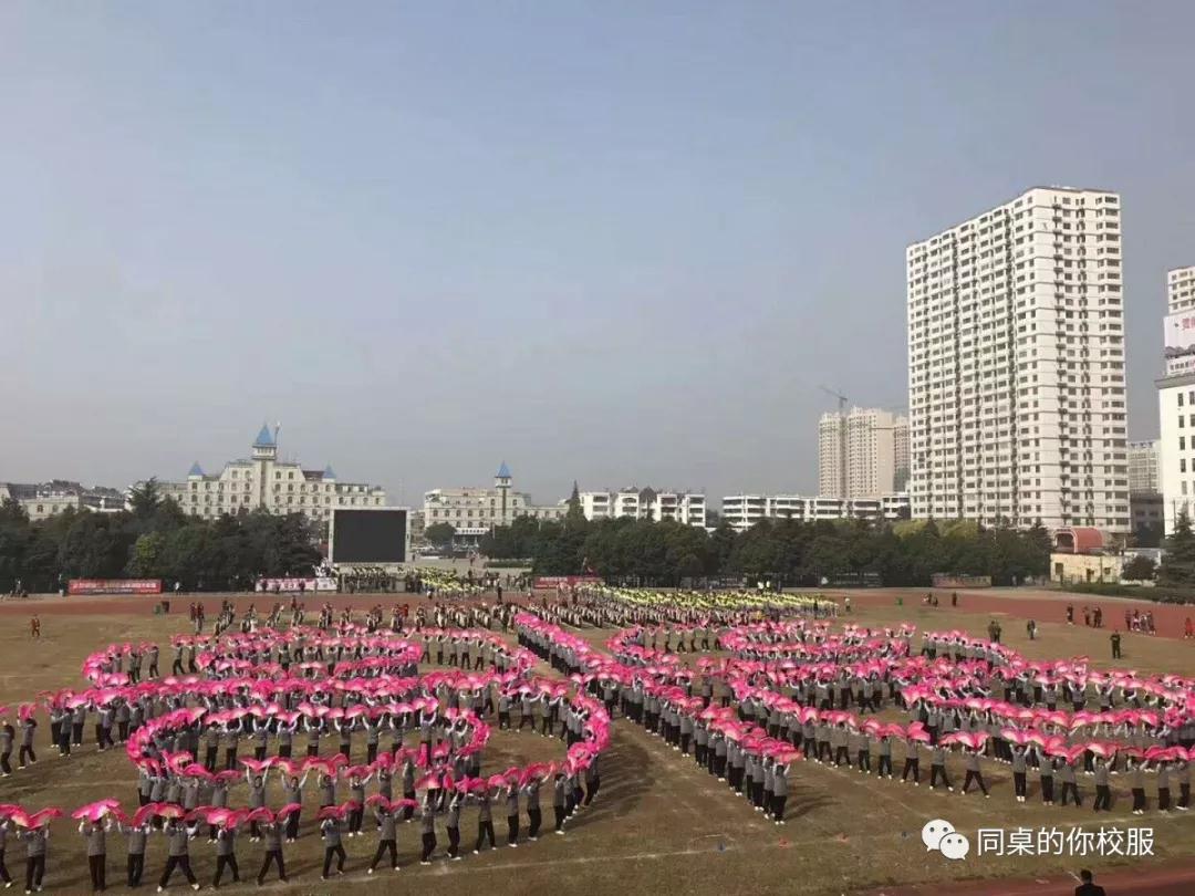 新沂市行知学校遇见同桌的你校服